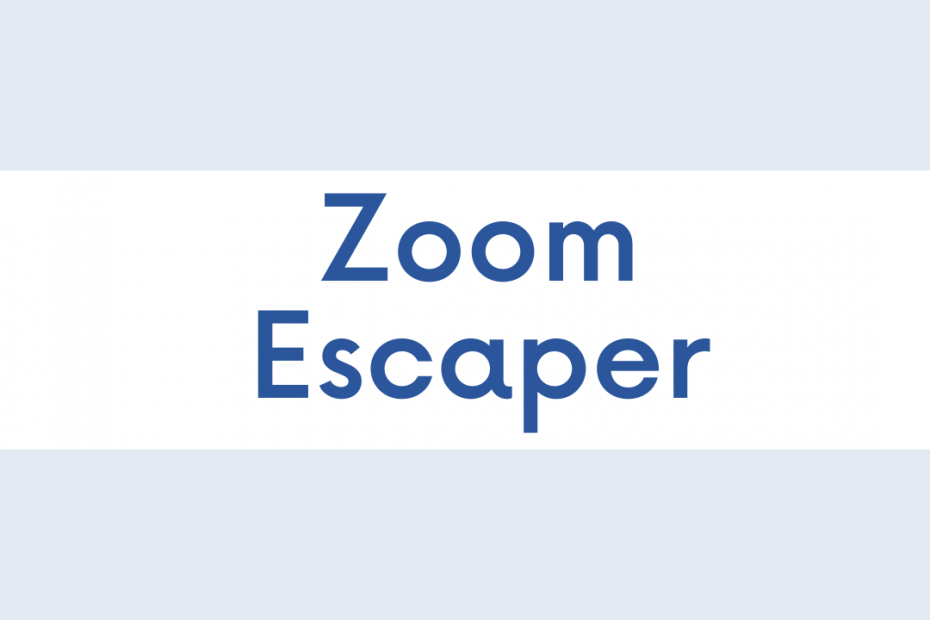 Application Zoom