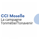 Campagne Réseaux Sociaux Metz - Ton Métier Ton Avenir